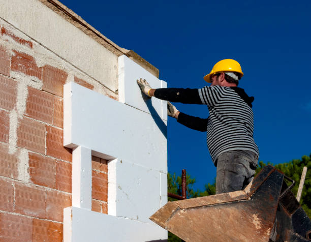 Best Geographic-Specific Insulation Services in Dove Valley, CO