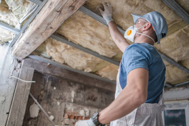 Best Spray Foam Insulation in Dove Valley, CO