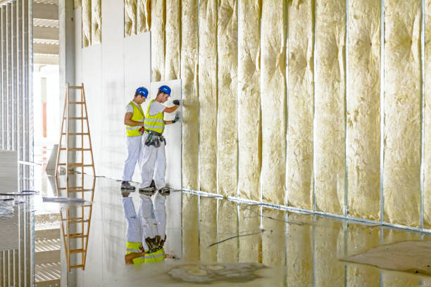 Types of Insulation We Offer in Dove Valley, CO